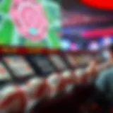 Digital representation of lottery draws